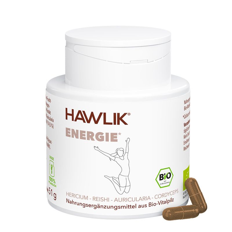 Energie Bio Vitalpilzmischung